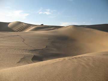 Egypt western desert Oasis
